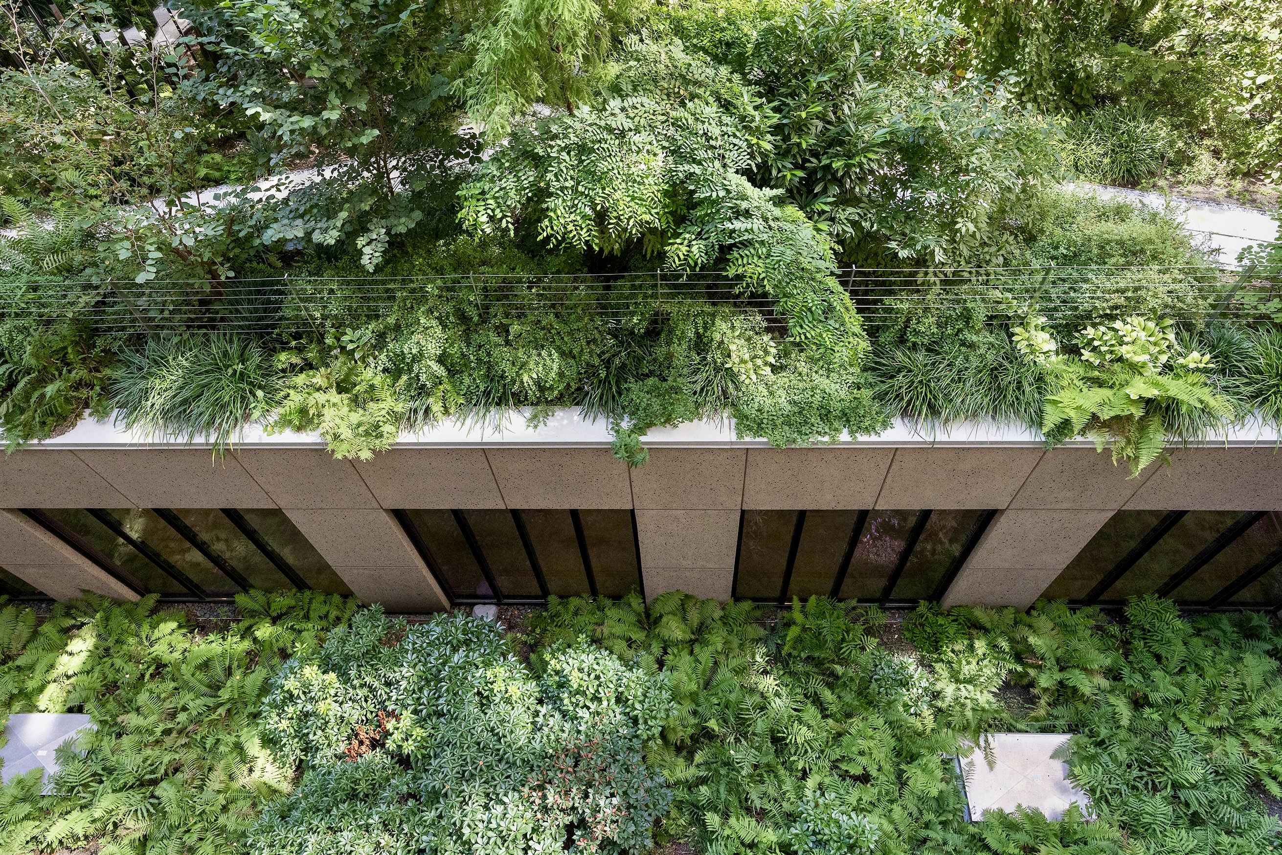 58 St Marks Place, Unit 212 Brooklyn, NY 11217 - Photo 9 of 27 a view of a backyard with plants and wooden fence