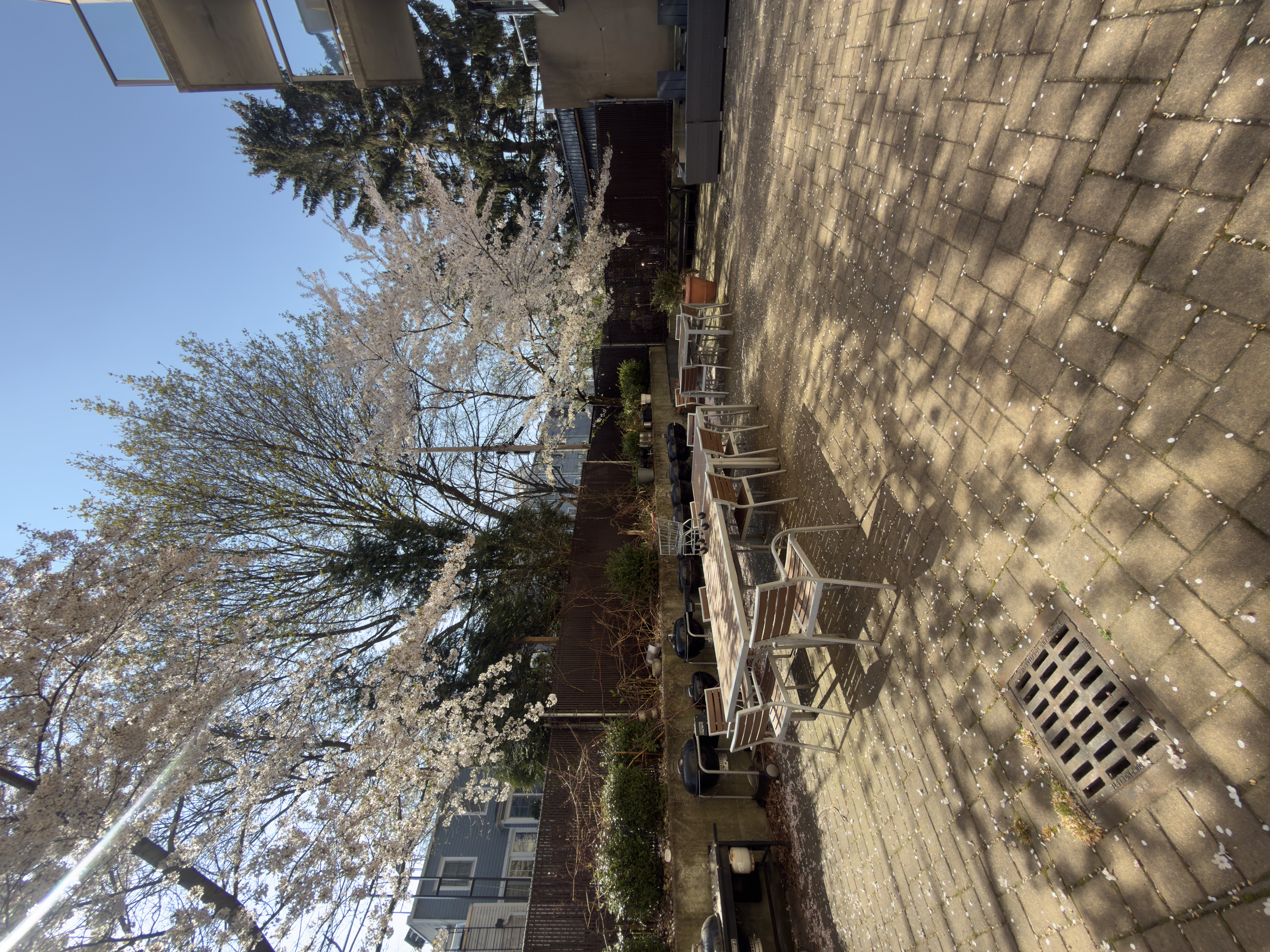 585 6th Avenue, Unit 4D Brooklyn, NY 11215 - Photo 14 of 15