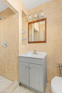 a bathroom with a sink a toilet and a shower