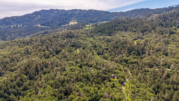 a view of a house with a yard and large trees