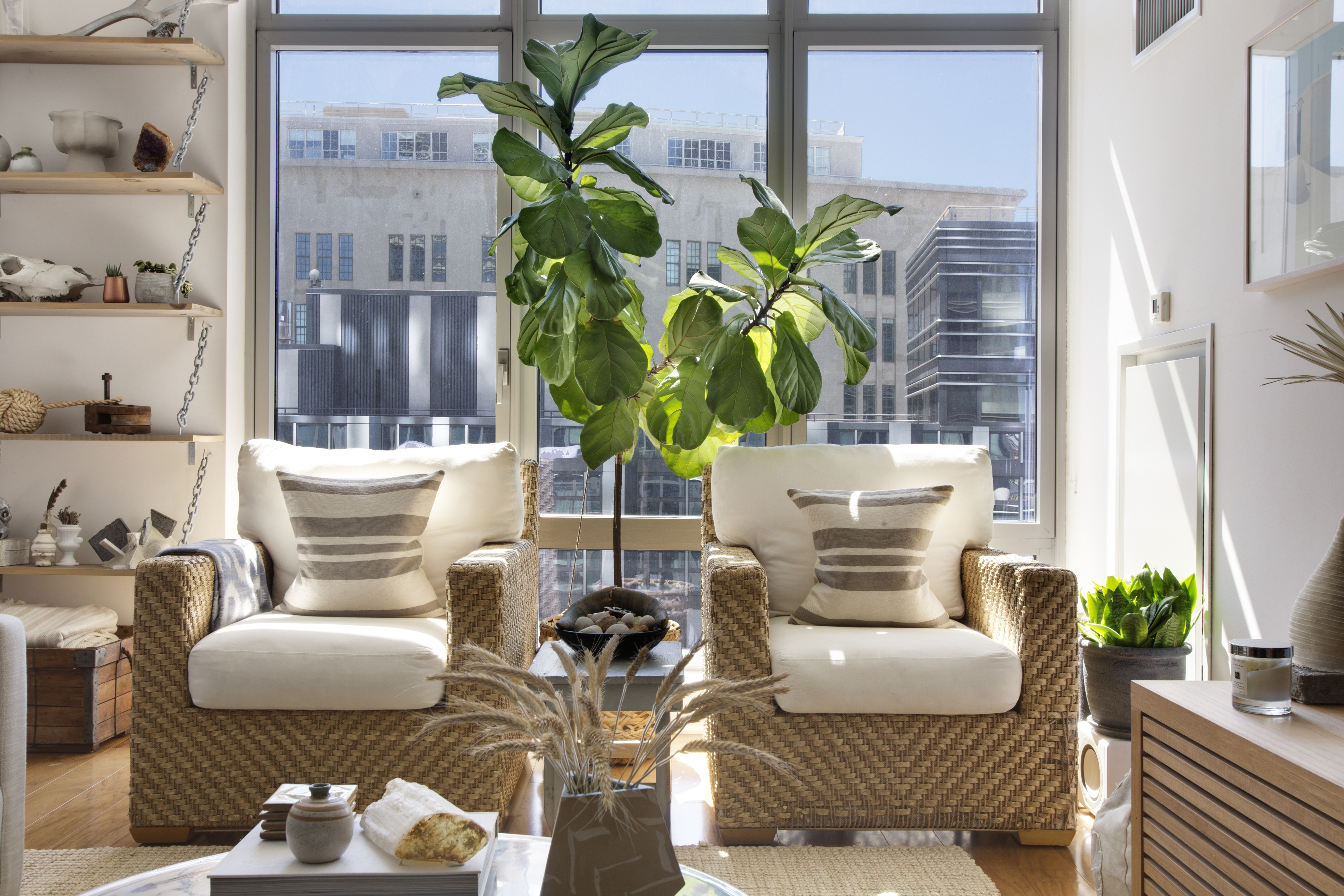 2 Northside Piers, Unit 4B Brooklyn, NY 11249 - Photo 2 of 18 a living room with furniture flowerpot and a potted plant