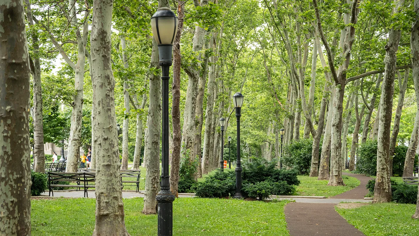 37 Henry Street Brooklyn, NY 11201 - Photo 31 of 43