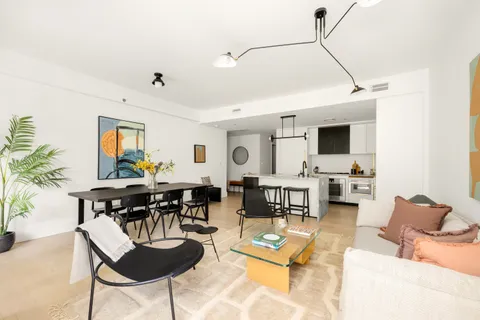 a living room with furniture a dining table and a potted plant