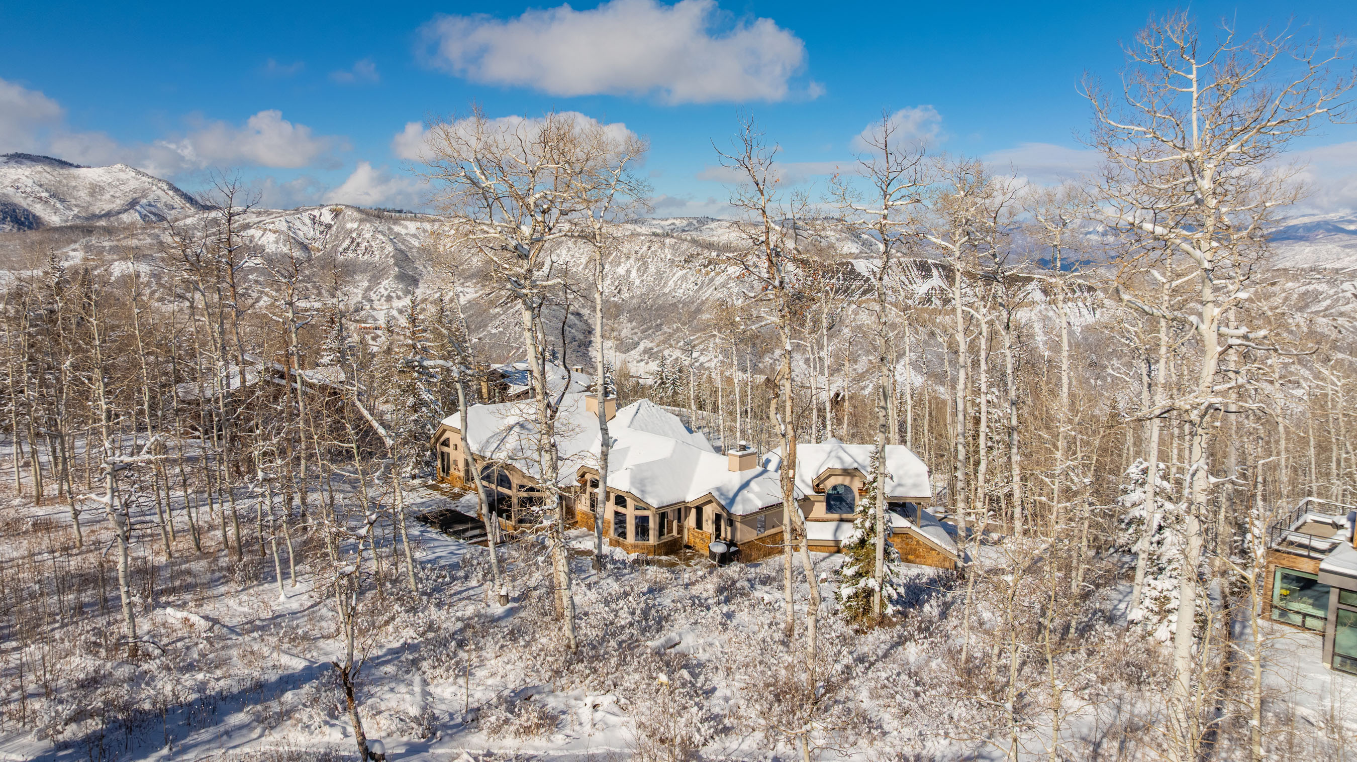 141 Baby Doe Lane Snowmass Village, CO 81615 - Photo 2 of 11
