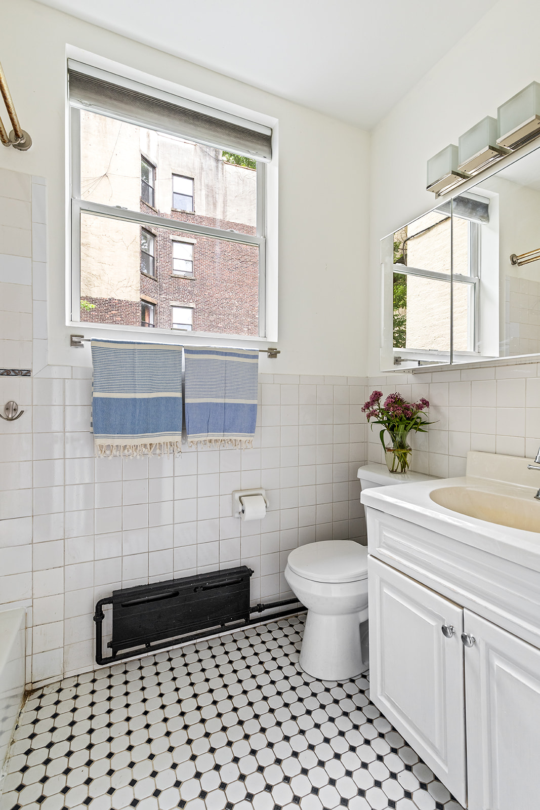 110 Clinton Avenue, Unit 1C Brooklyn, NY 11205 - Photo 6 of 12 a bathroom with a sink a toilet a window and a mirror