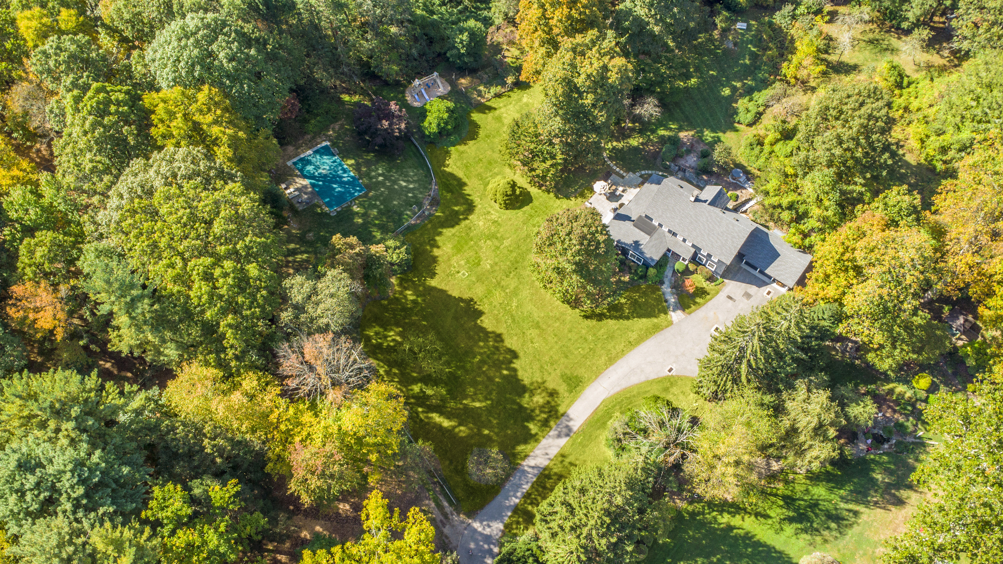 a view of a yard with plants