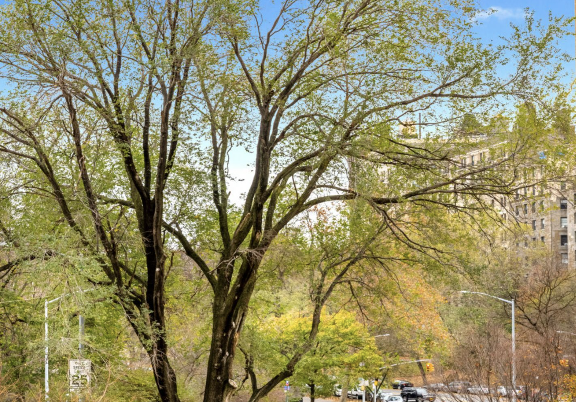 230 Riverside Drive, Unit 2G Manhattan, NY 10025 - Photo 4 of 11