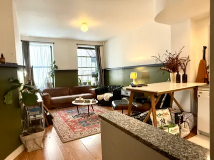 a living room with furniture and a potted plant