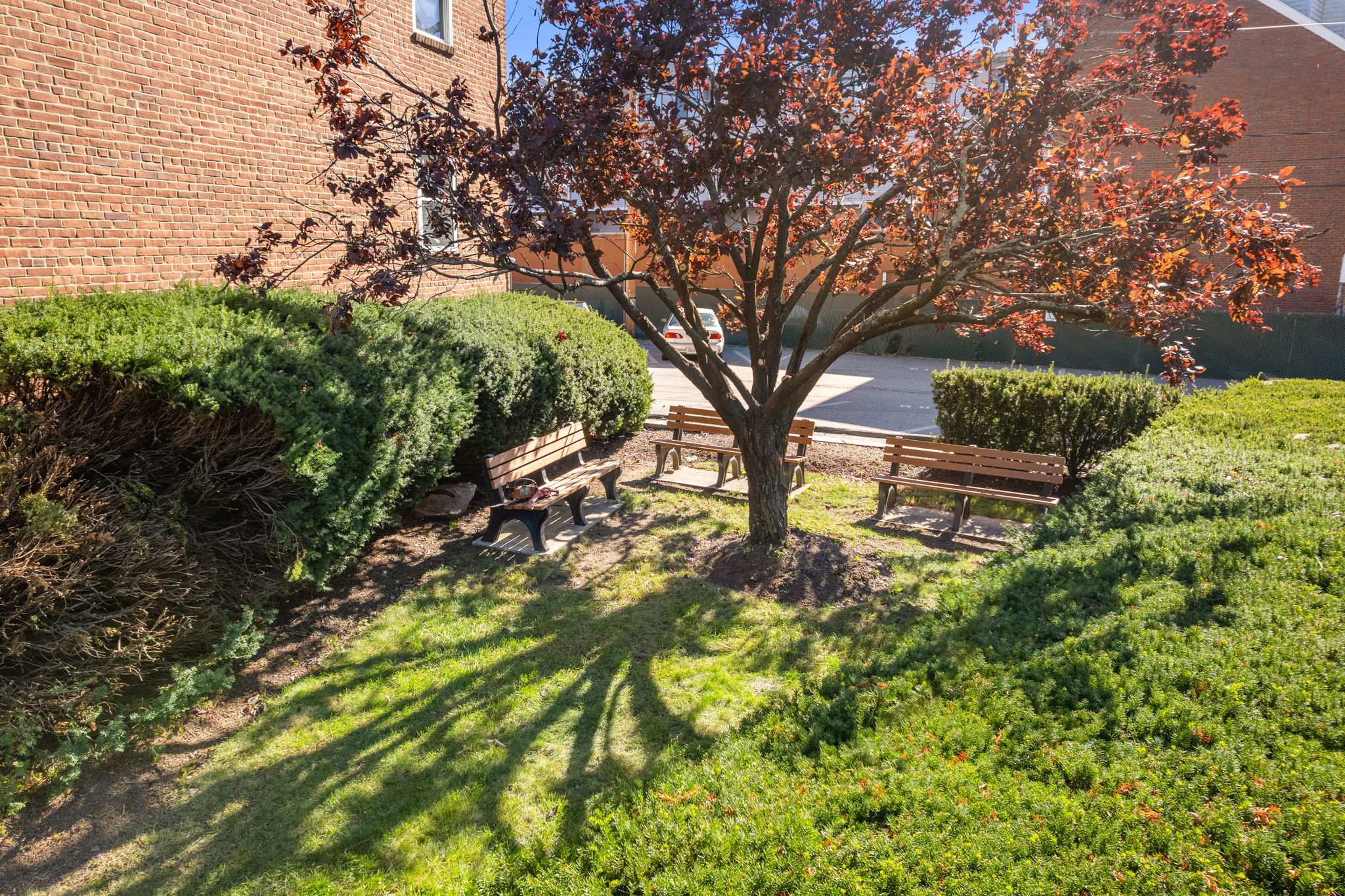 47 Colborne Road, Unit 1 Brighton, MA 02135 - Photo 20 of 23 Gallery Image 20