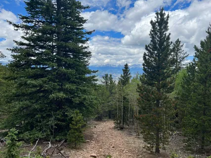 a view of outdoor space with lots of trees
