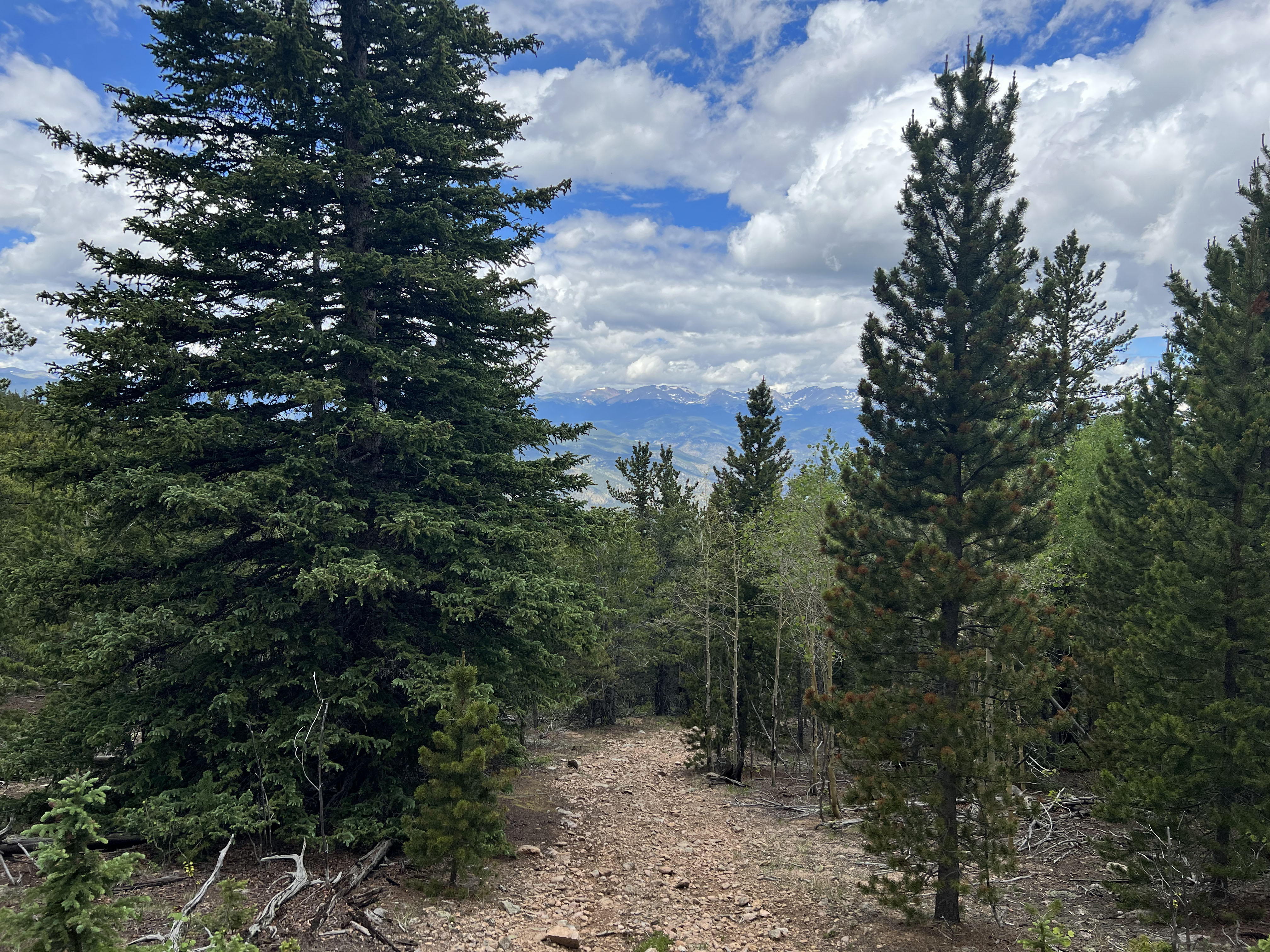 0 South Hidden Wilderness Road Idaho Springs, CO 80452 - Photo 12 of 20