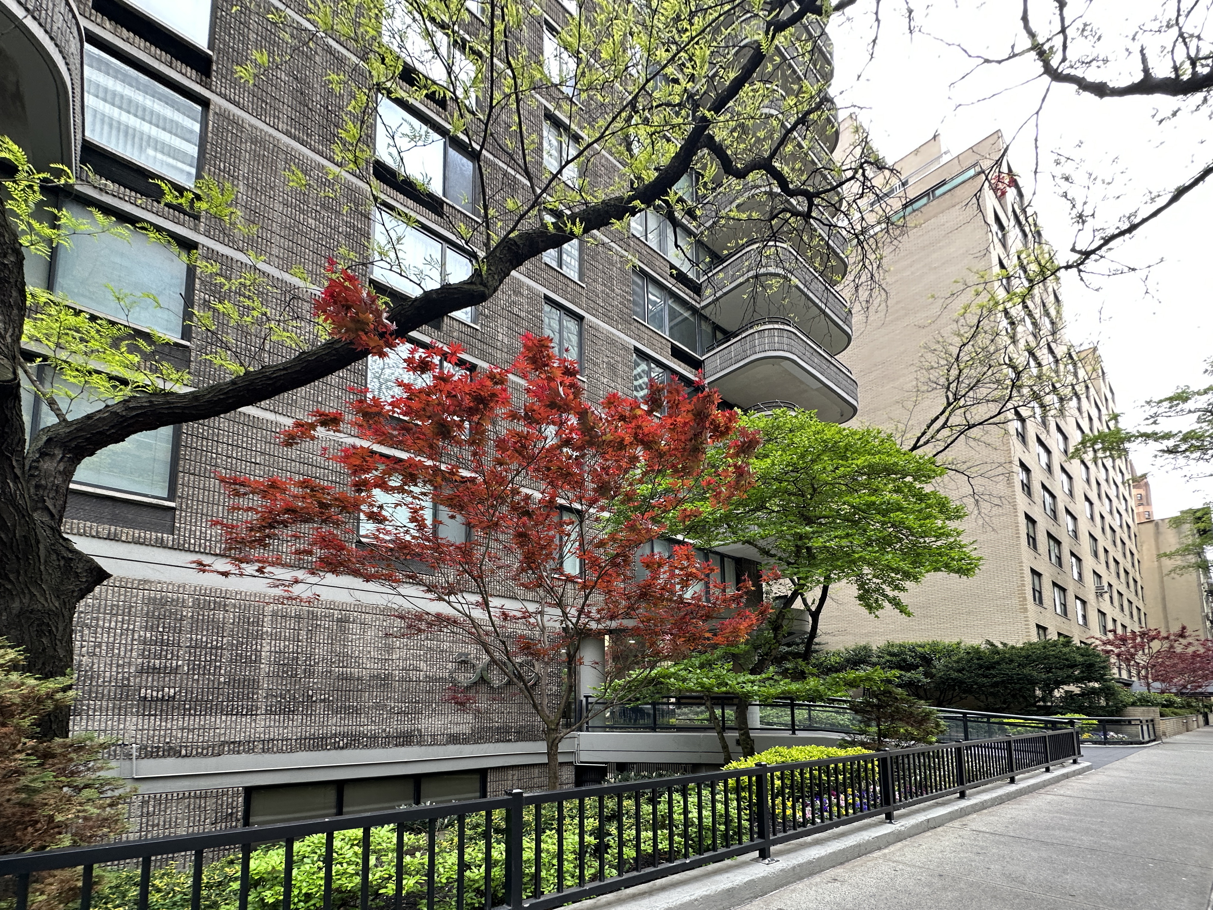 309 East 49th Street, Unit 3D Manhattan, NY 10017 - Photo 10 of 11 a tree in front of a building