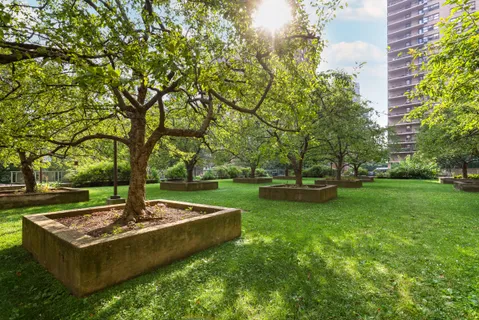 a view of a garden with trees