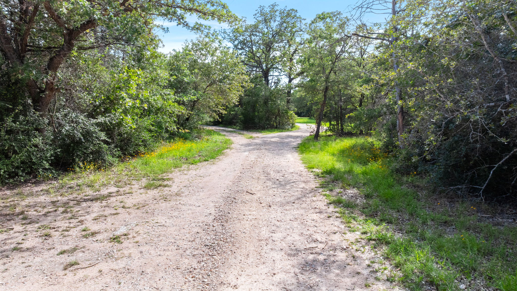 20311 Ed Acklin Road Manor, TX 78653 - Photo 6 of 42