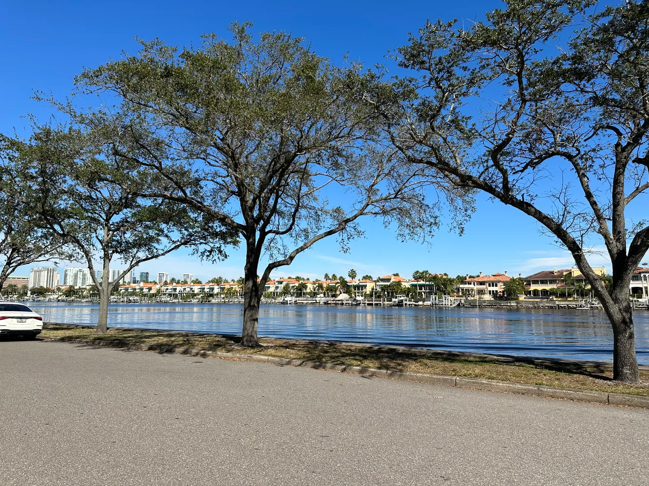 a view of a building with trees