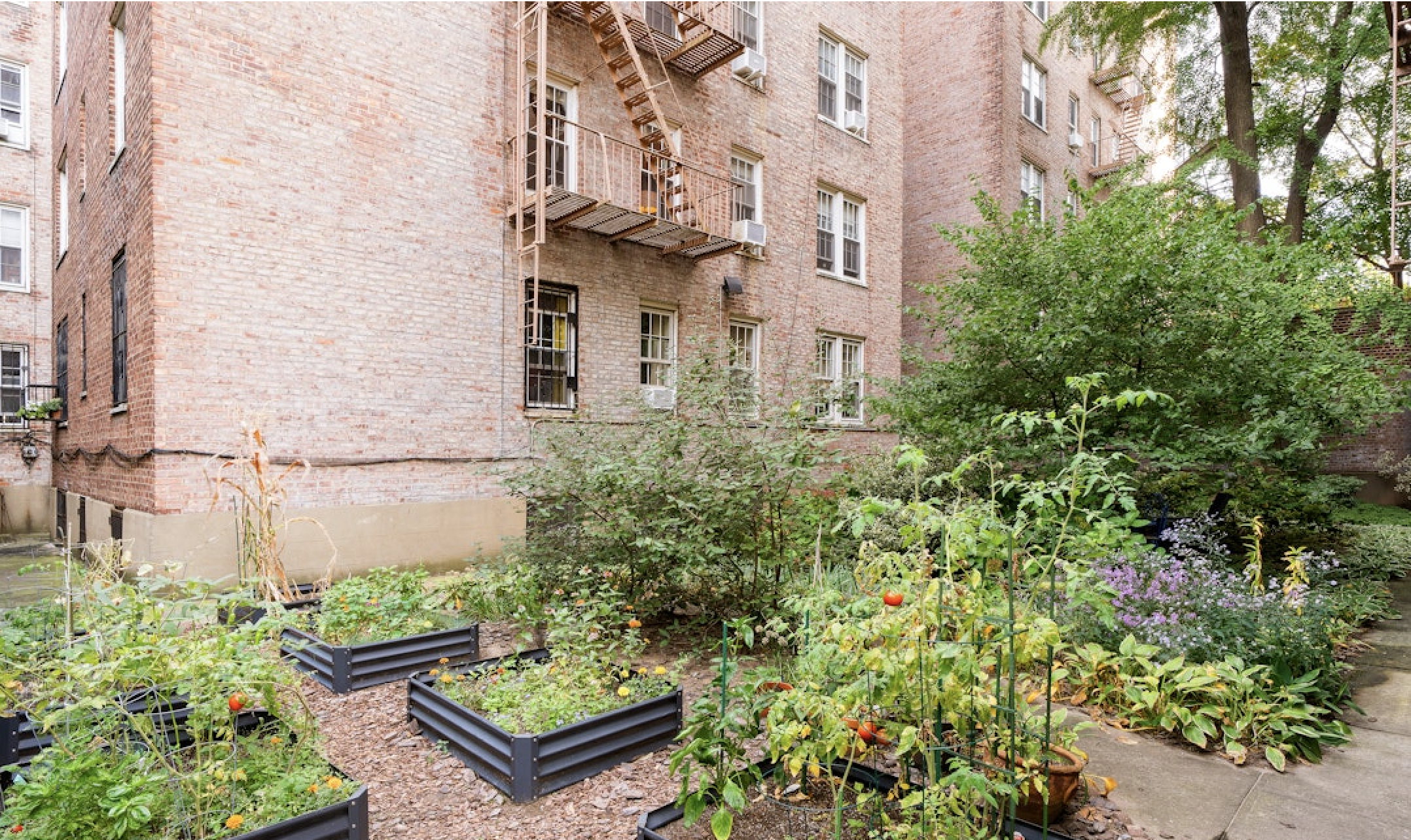 360 Clinton Avenue, Unit 6J Brooklyn, NY 11238 - Photo 9 of 10 front view of a house with a garden