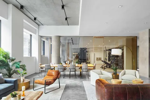 a living room with furniture and a potted plant