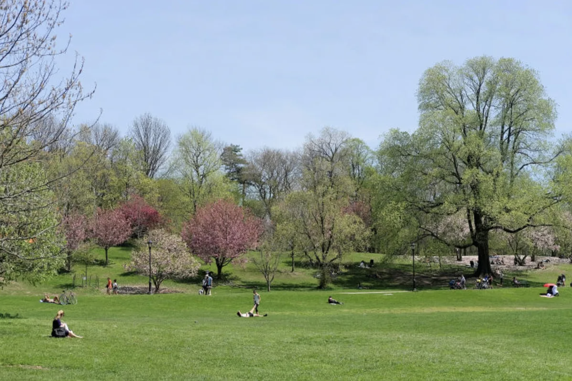211 8th Avenue, Unit 3B Brooklyn, NY 11215 - Photo 12 of 13 a view of a golf course with a lake
