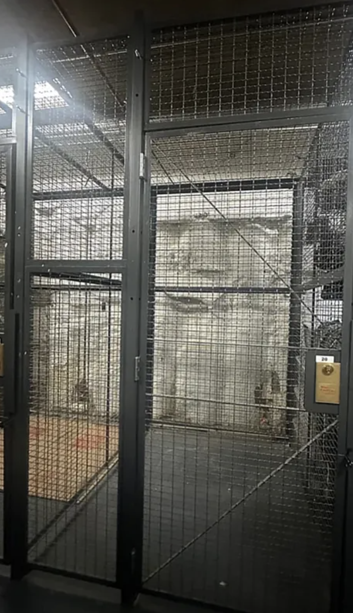 133 West 22nd Street, Unit 7H Manhattan, NY 10011 - Photo 21 of 22 a bathroom with a shower