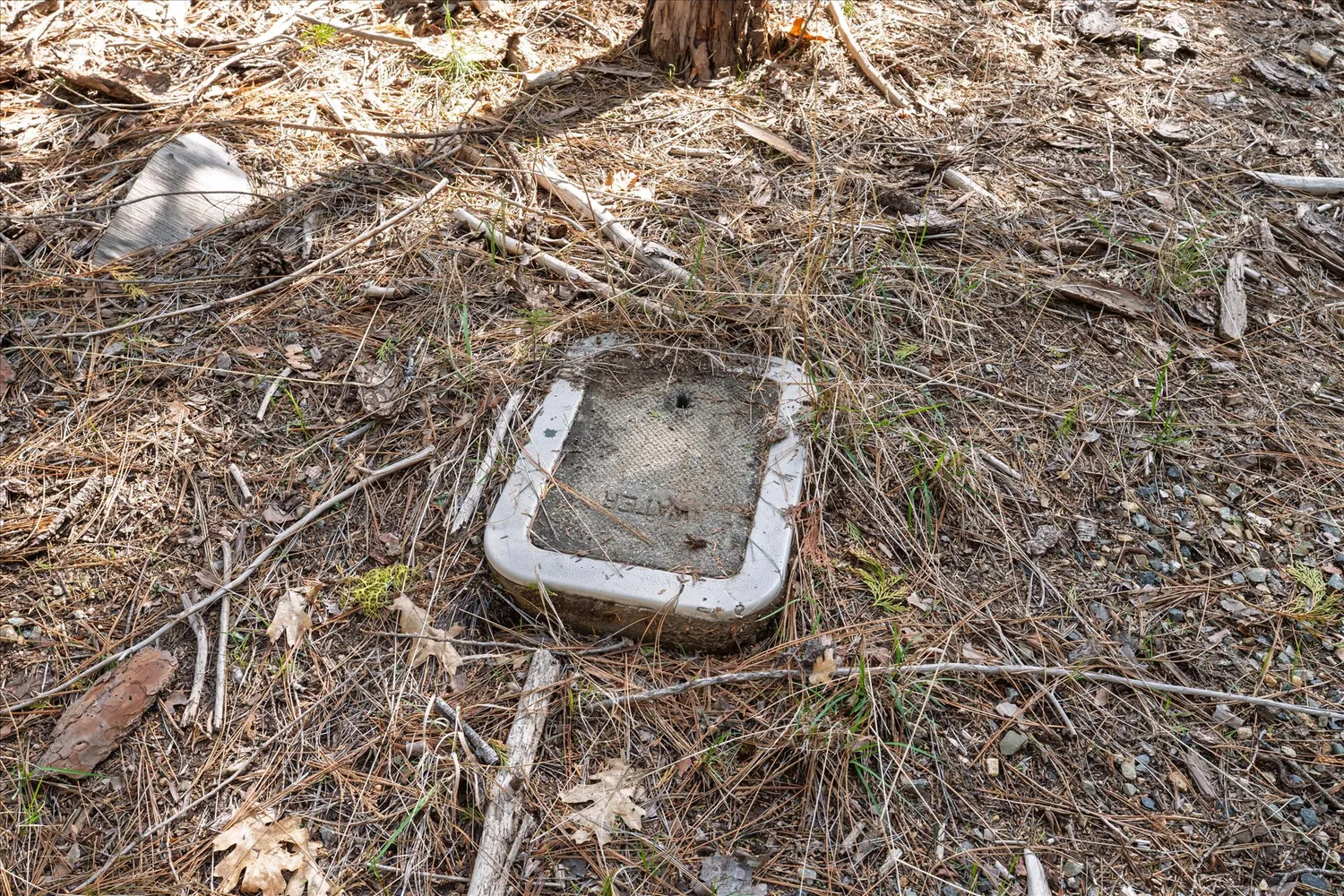 a view of a backyard with a toilet and a tree