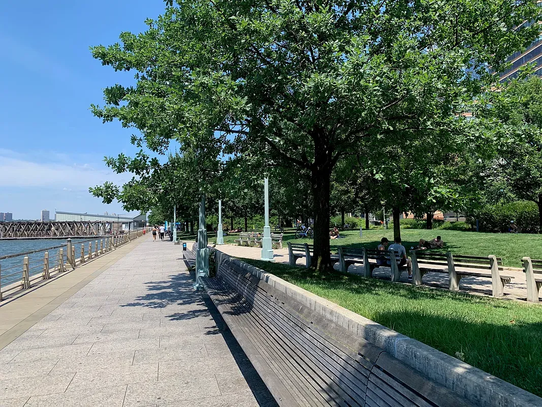 a view of a park with large trees