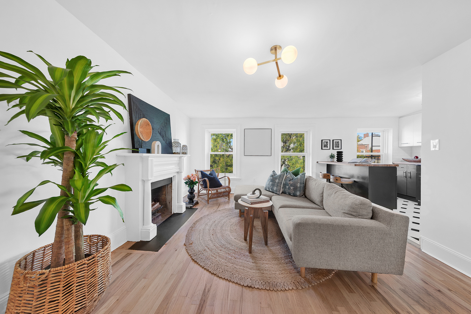 a living room with furniture a potted plant and a fireplace