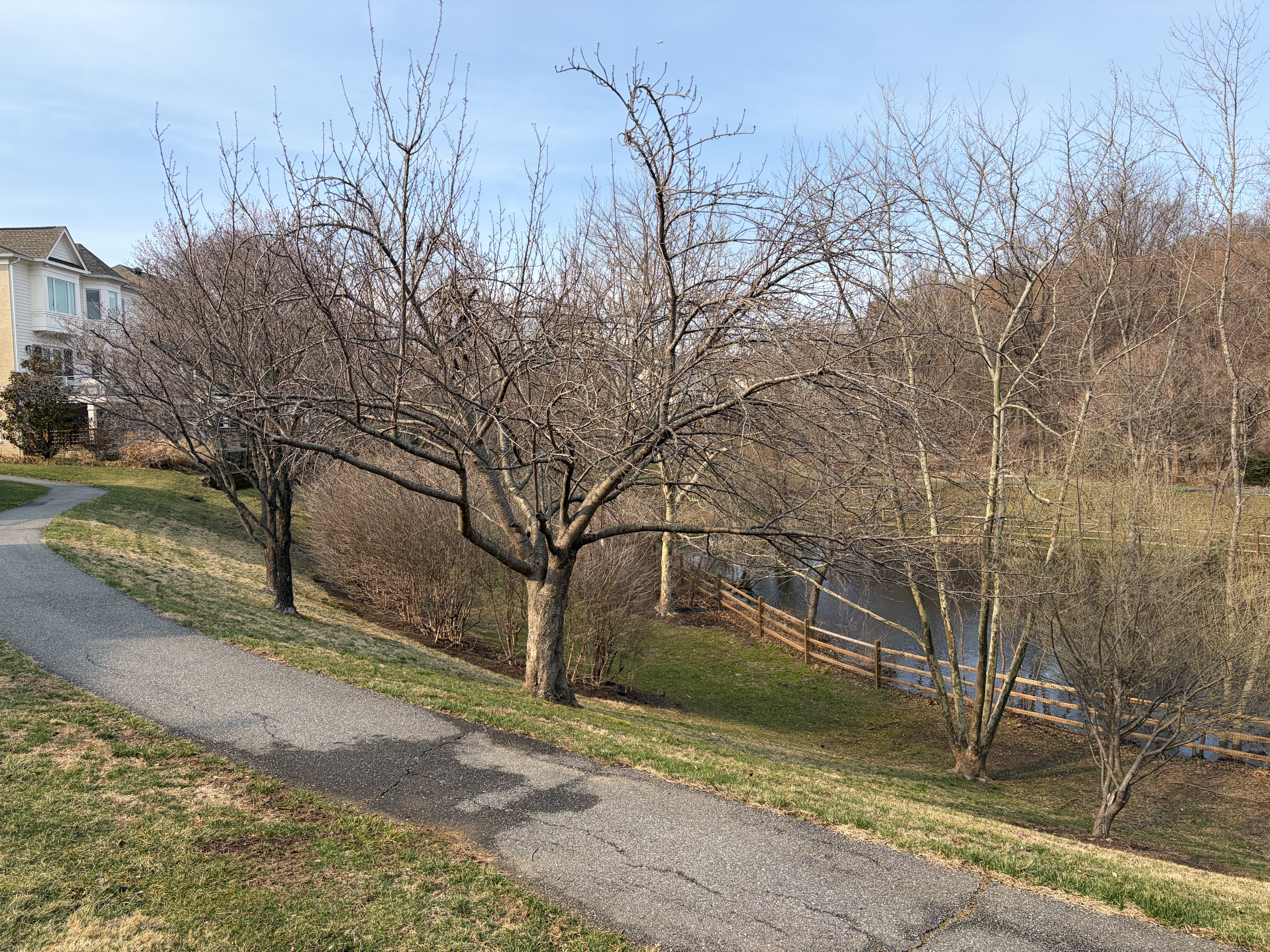 8512 Bells Ridge Terrace Potomac, MD 20854 - Photo 44 of 49