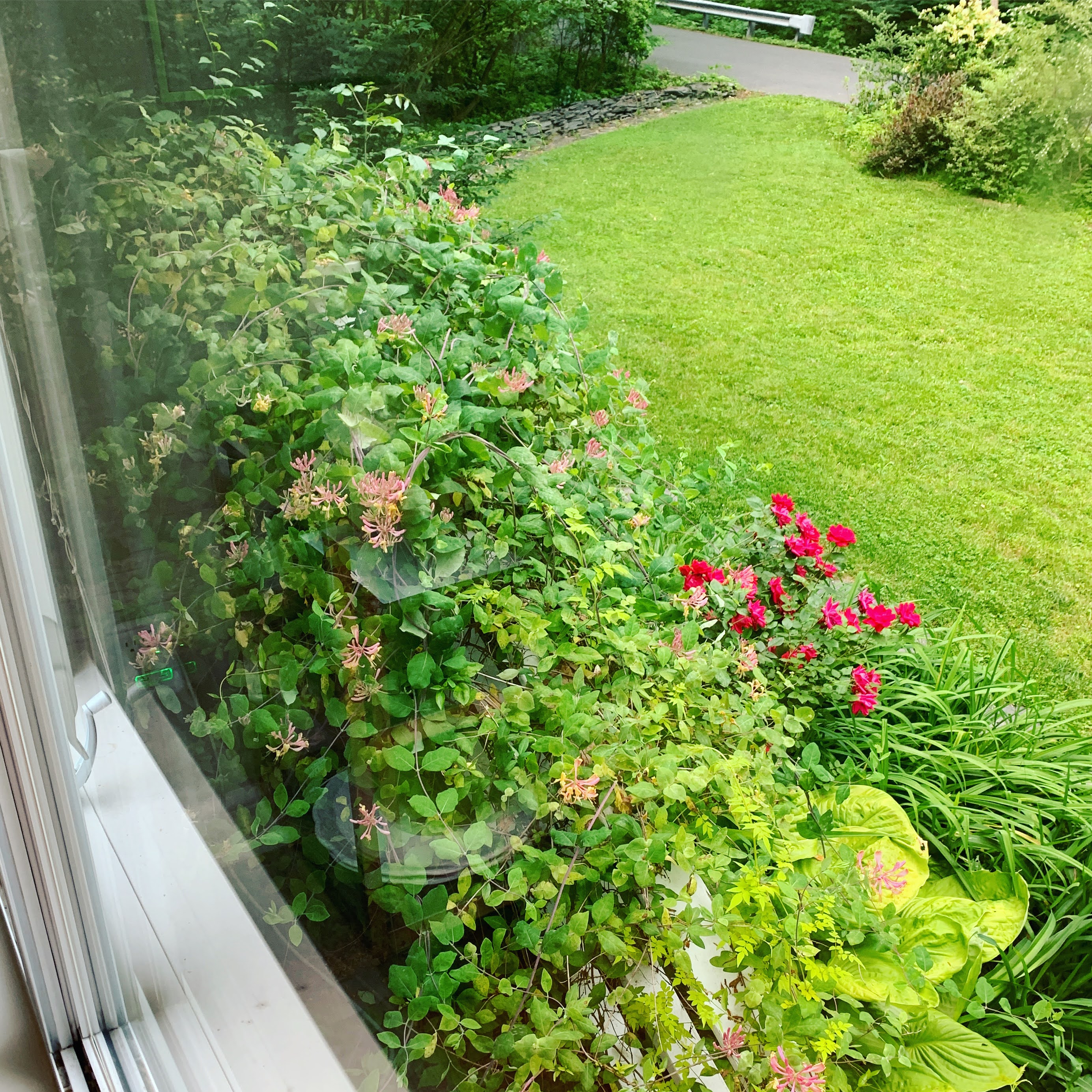 1 Brookside Road Wallingford, PA 19086 - Photo 4 of 15