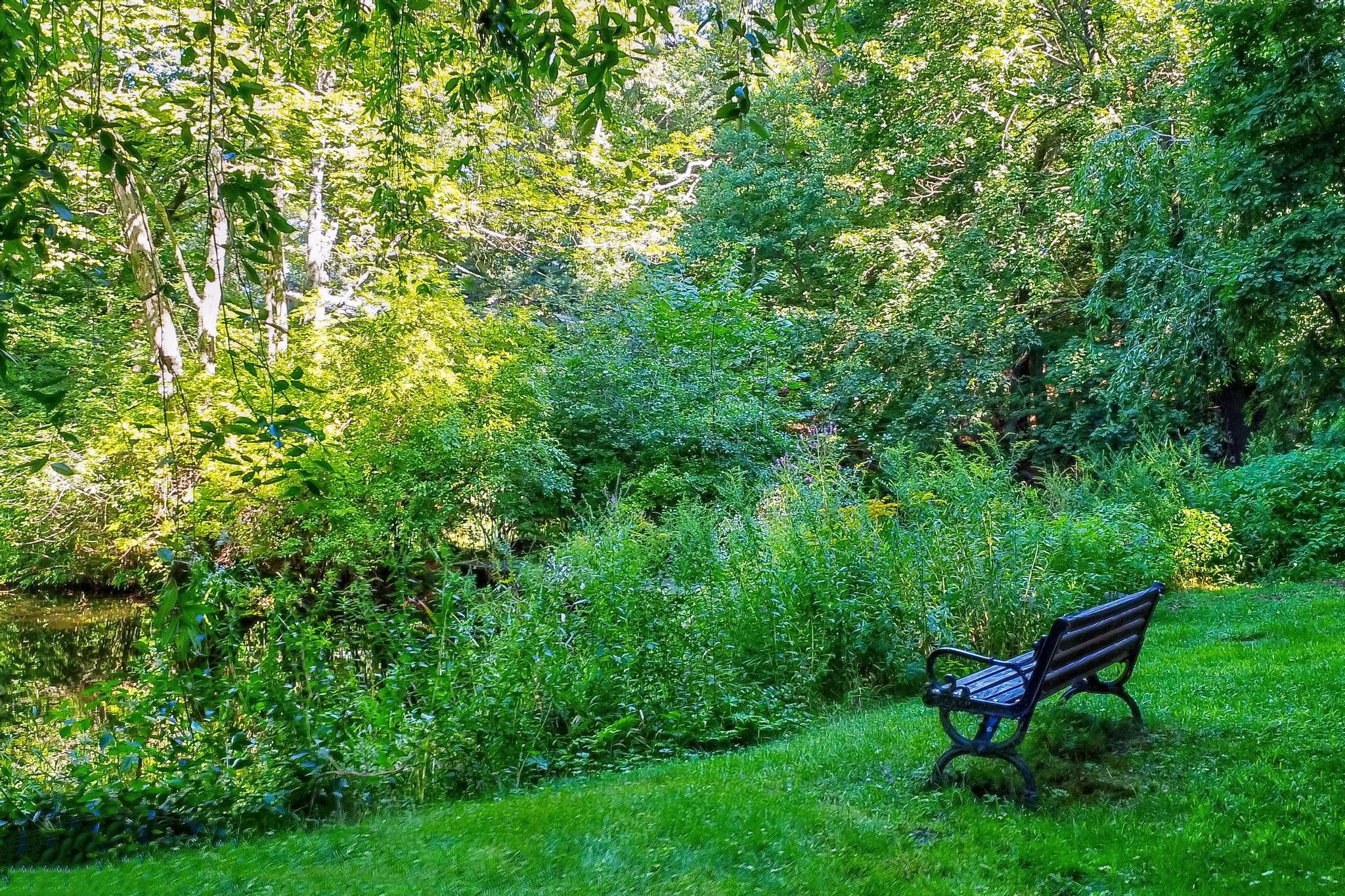 5 Field Road Lexington, MA 02421 - Photo 14 of 17 a view of a bench in a garden
