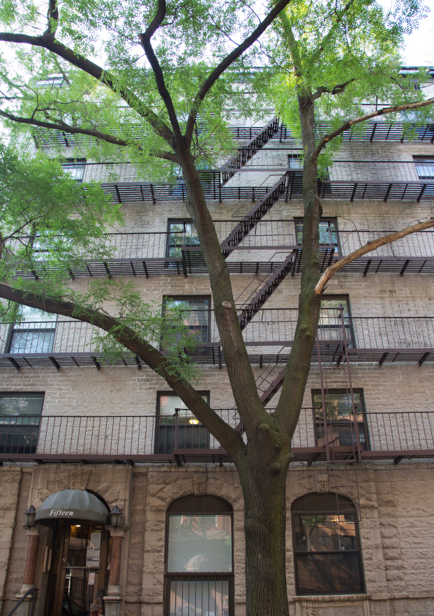 15 Jones Street, Unit 5D Manhattan, NY 10014 - Photo 6 of 7 a view of a house with a tree next to a yard