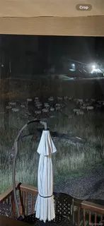 $2,845,000 | 60 North County Highway, Sedalia, CO 80135