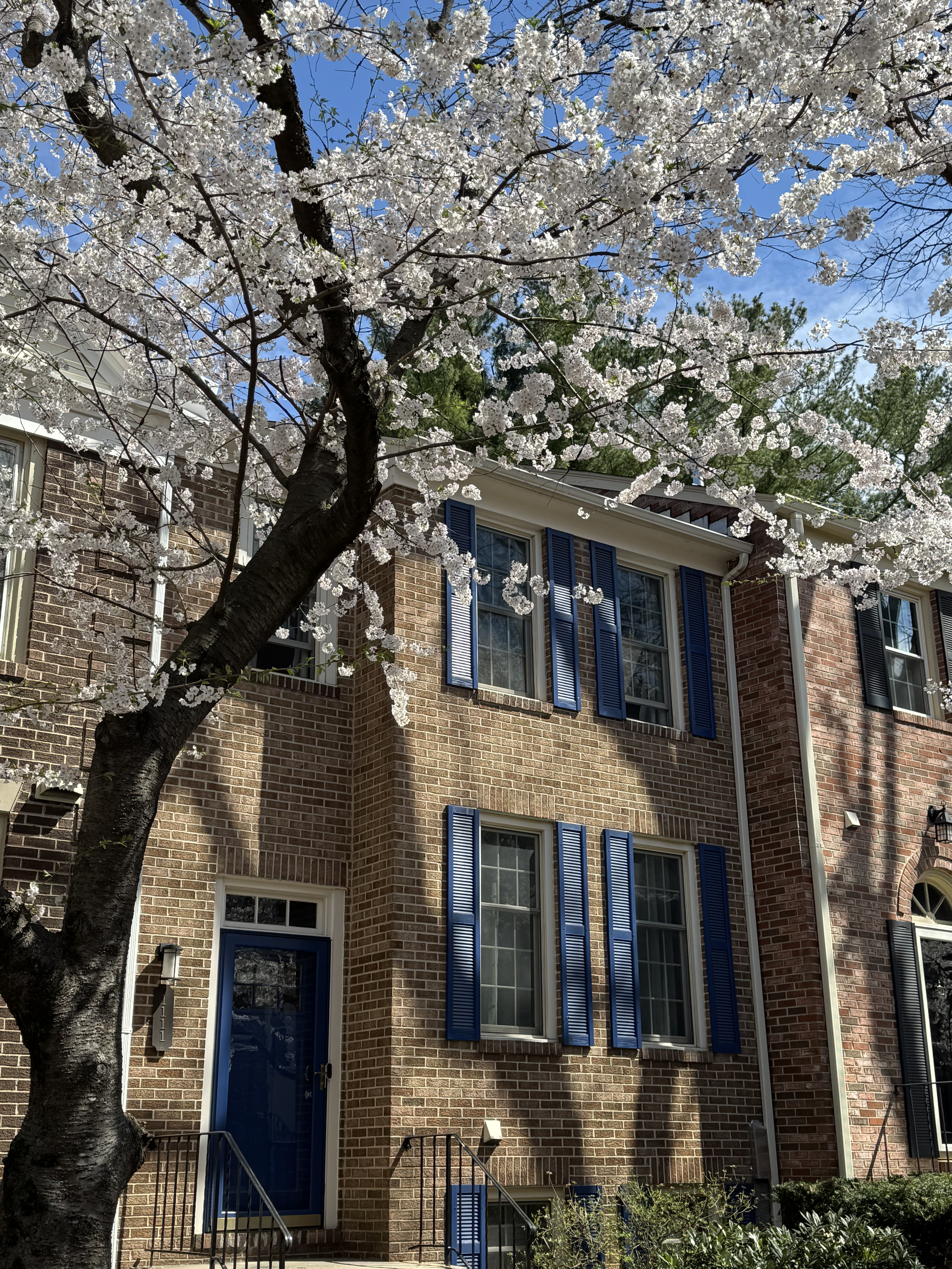 1111 Fairview Court Silver Spring, MD 20910 - Photo 2 of 6