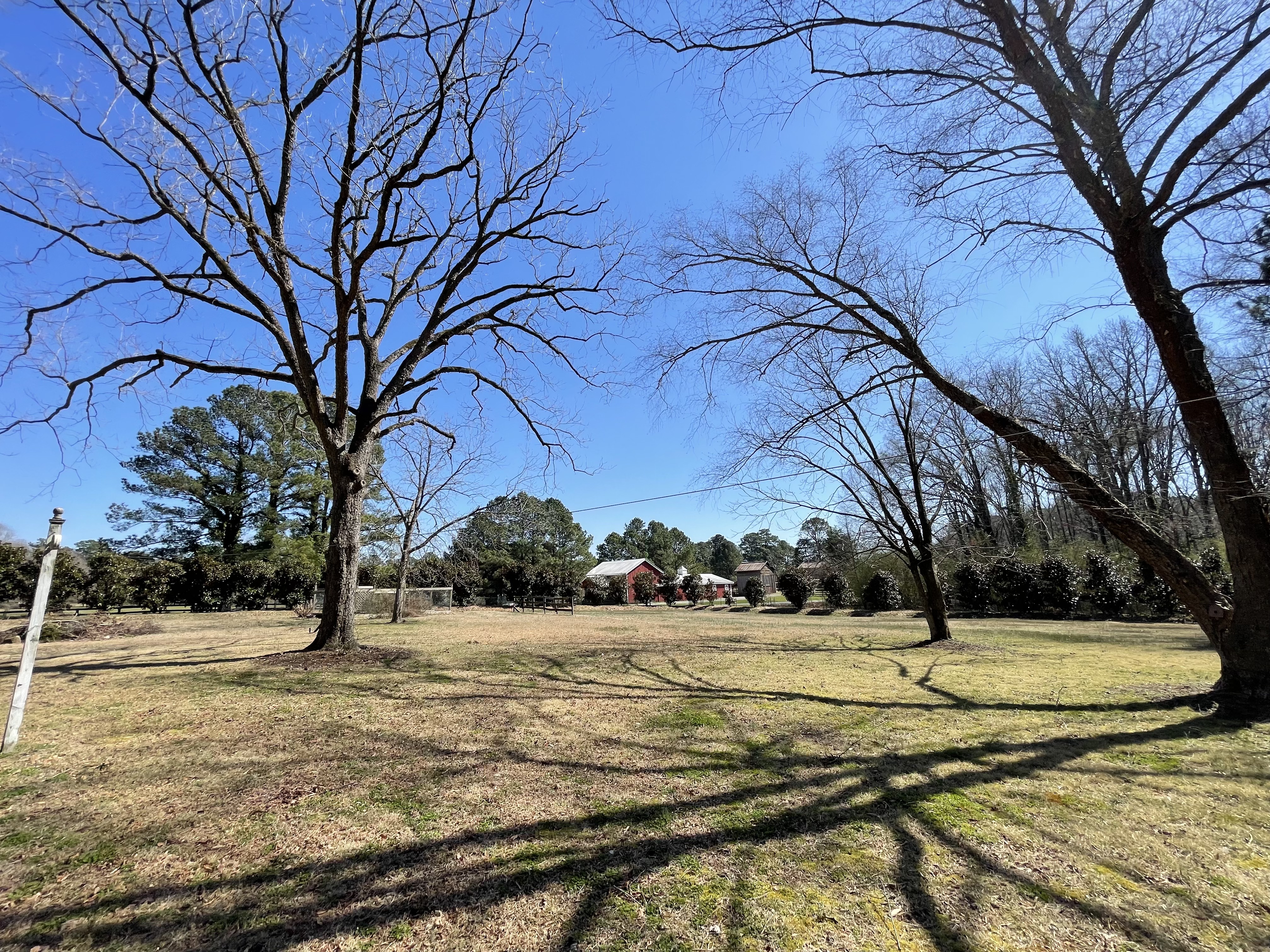 8801 Castleberry Road Apex, NC 27523 - Photo 14 of 19