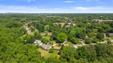 a view of a green field with lots of bushes