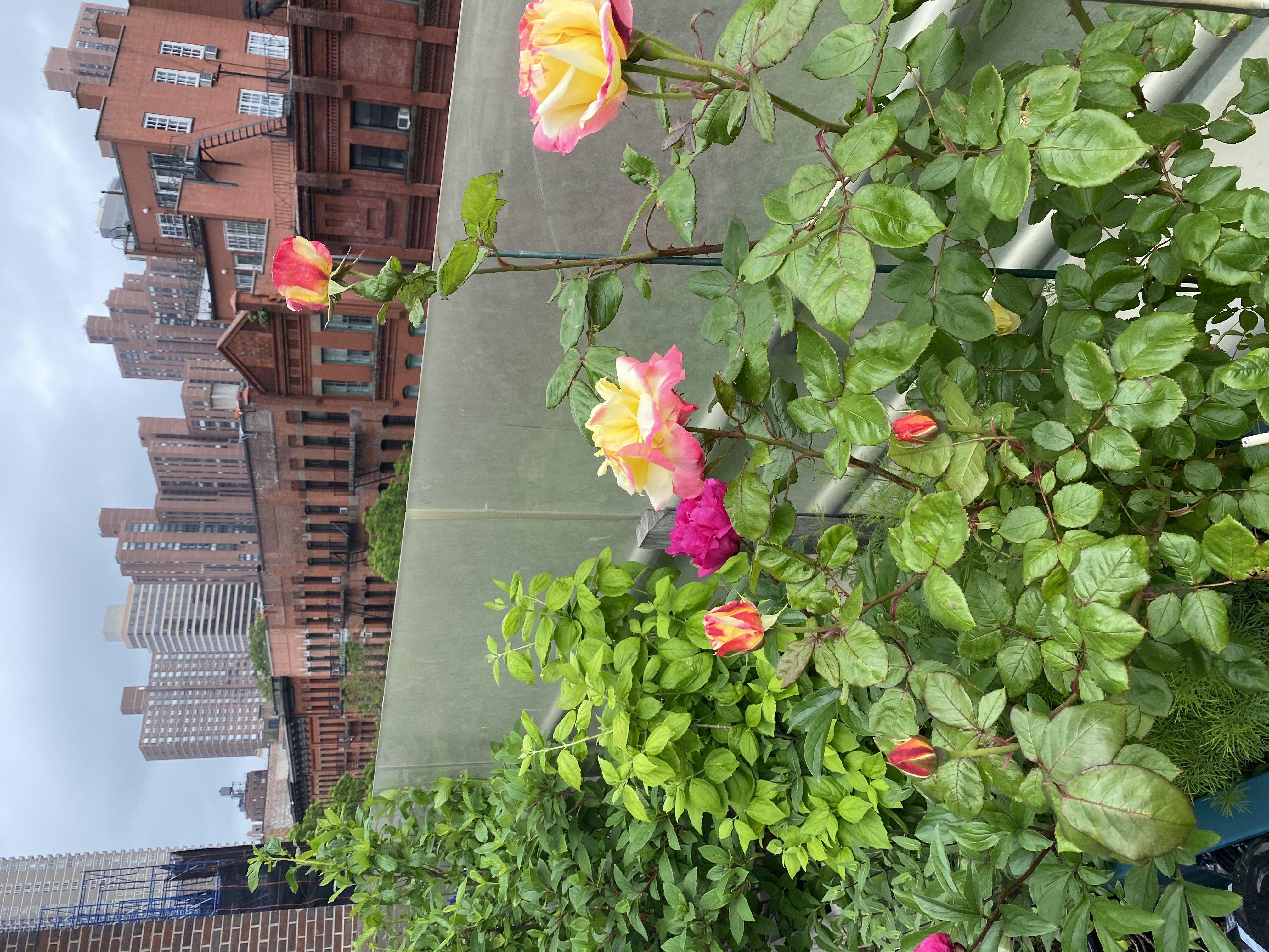 360 East 88th Street, Unit 4E Manhattan, NY 10128 - Photo 19 of 28