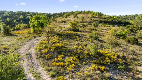 a view of a lake with a mountain in the back
