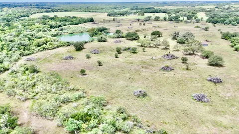 a view of a field with plants