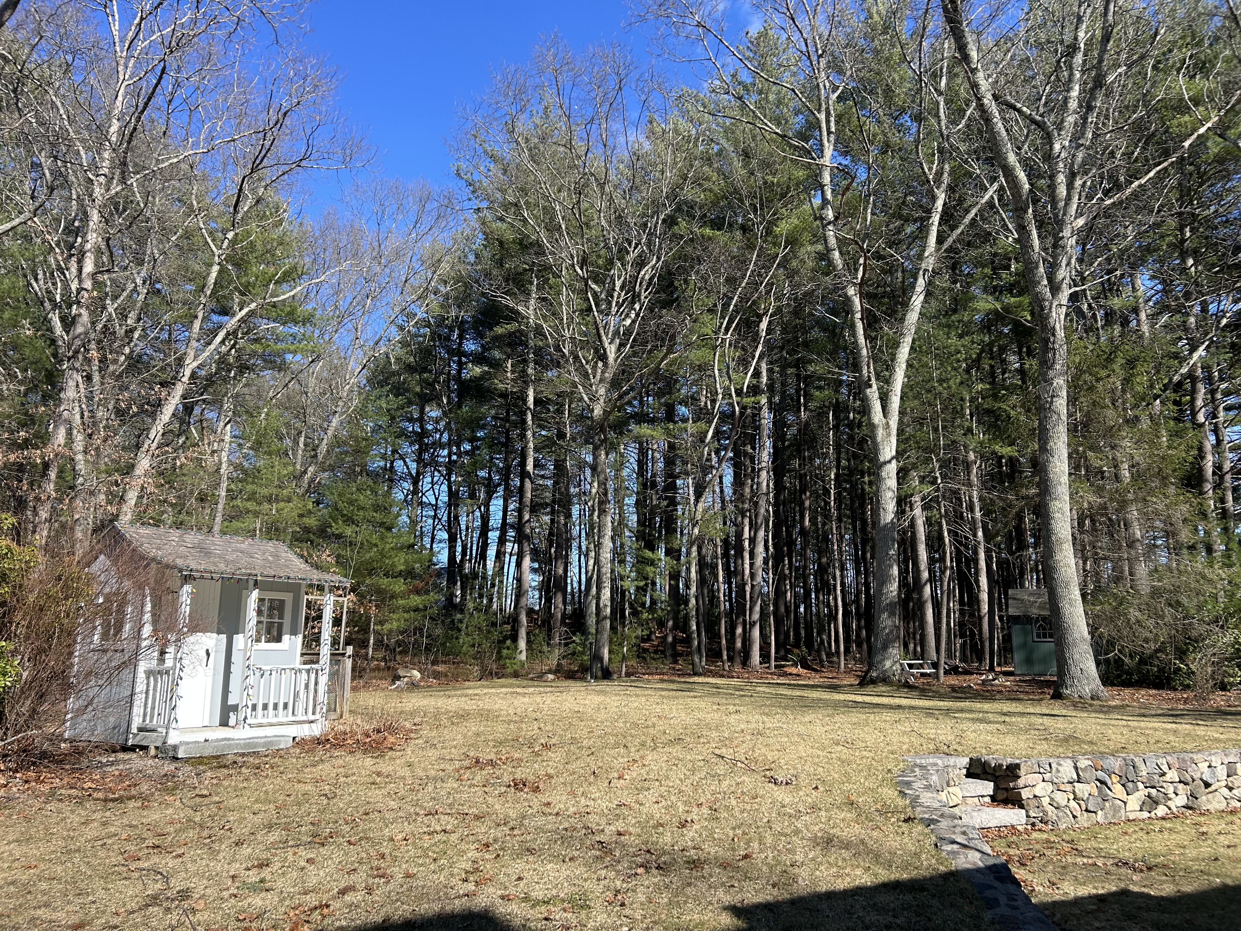 142 Tower Road Lincoln, MA 01773 - Photo 22 of 31 a view of a backyard of the house
