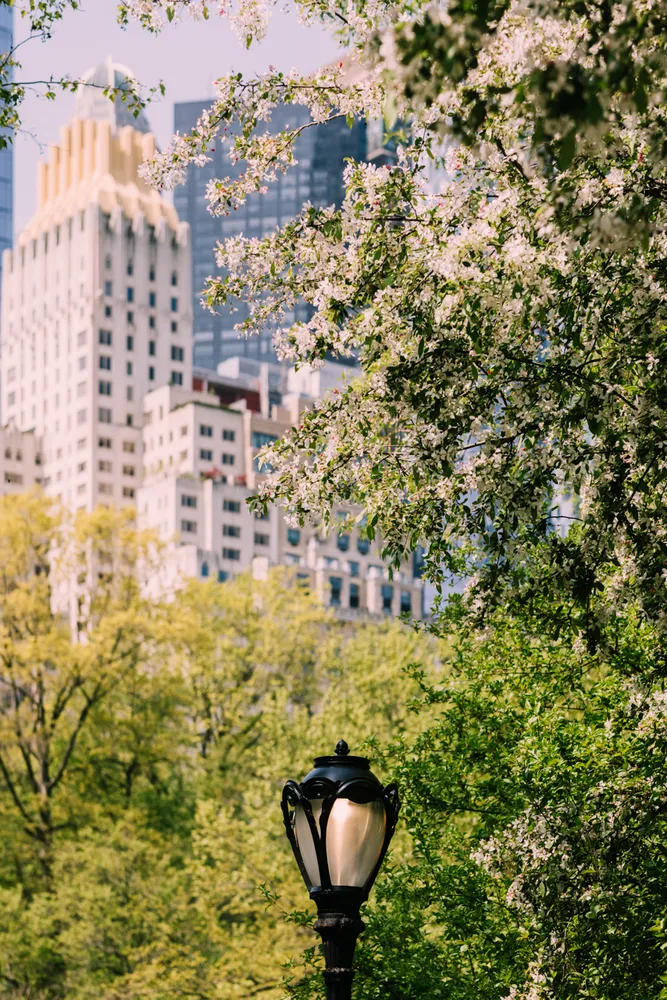 a city street filled with lots of traffic and tall buildings