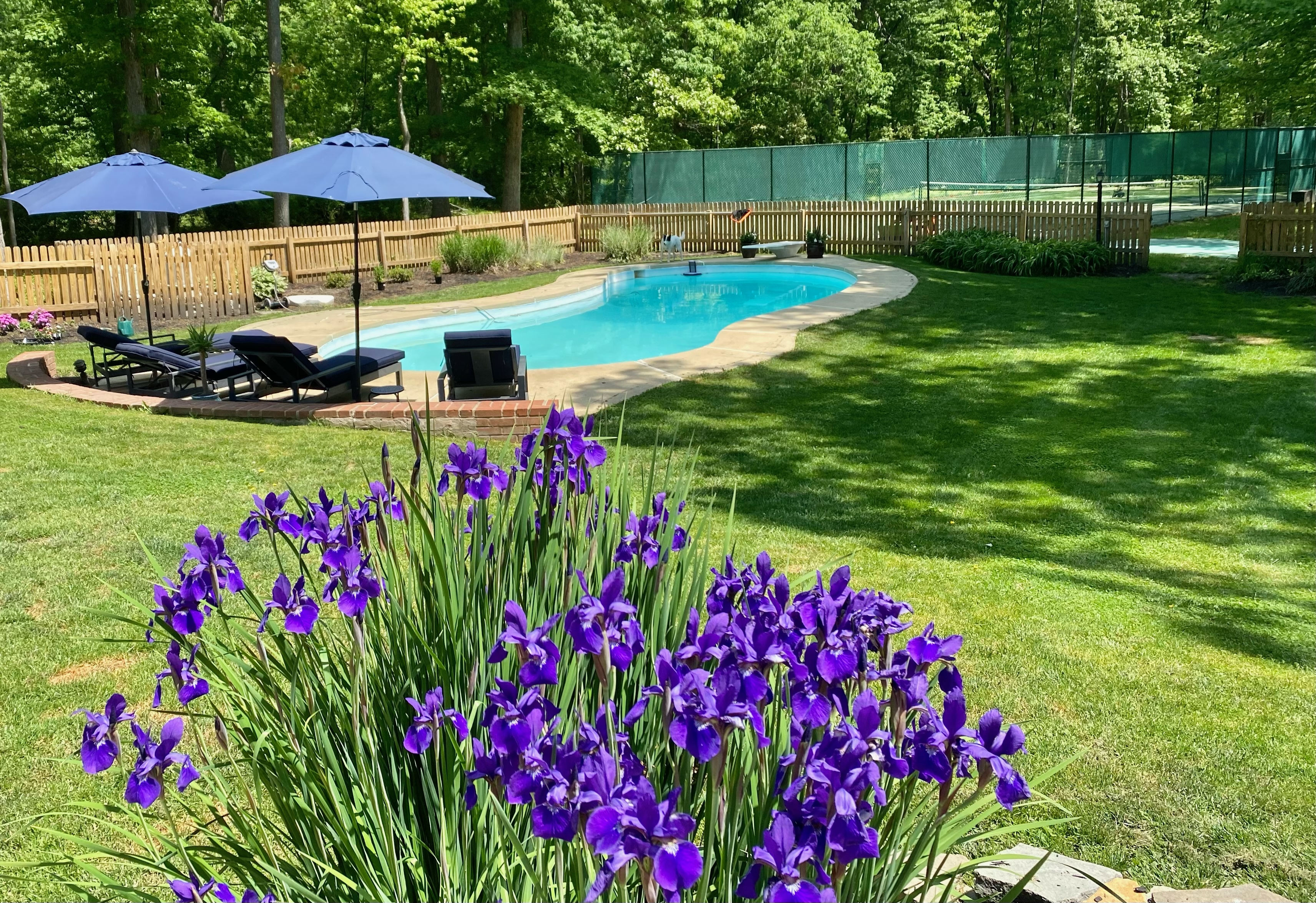 21 Andrews Road Malvern, PA 19355 - Photo 6 of 20 a view of a backyard with plants and swimming pool