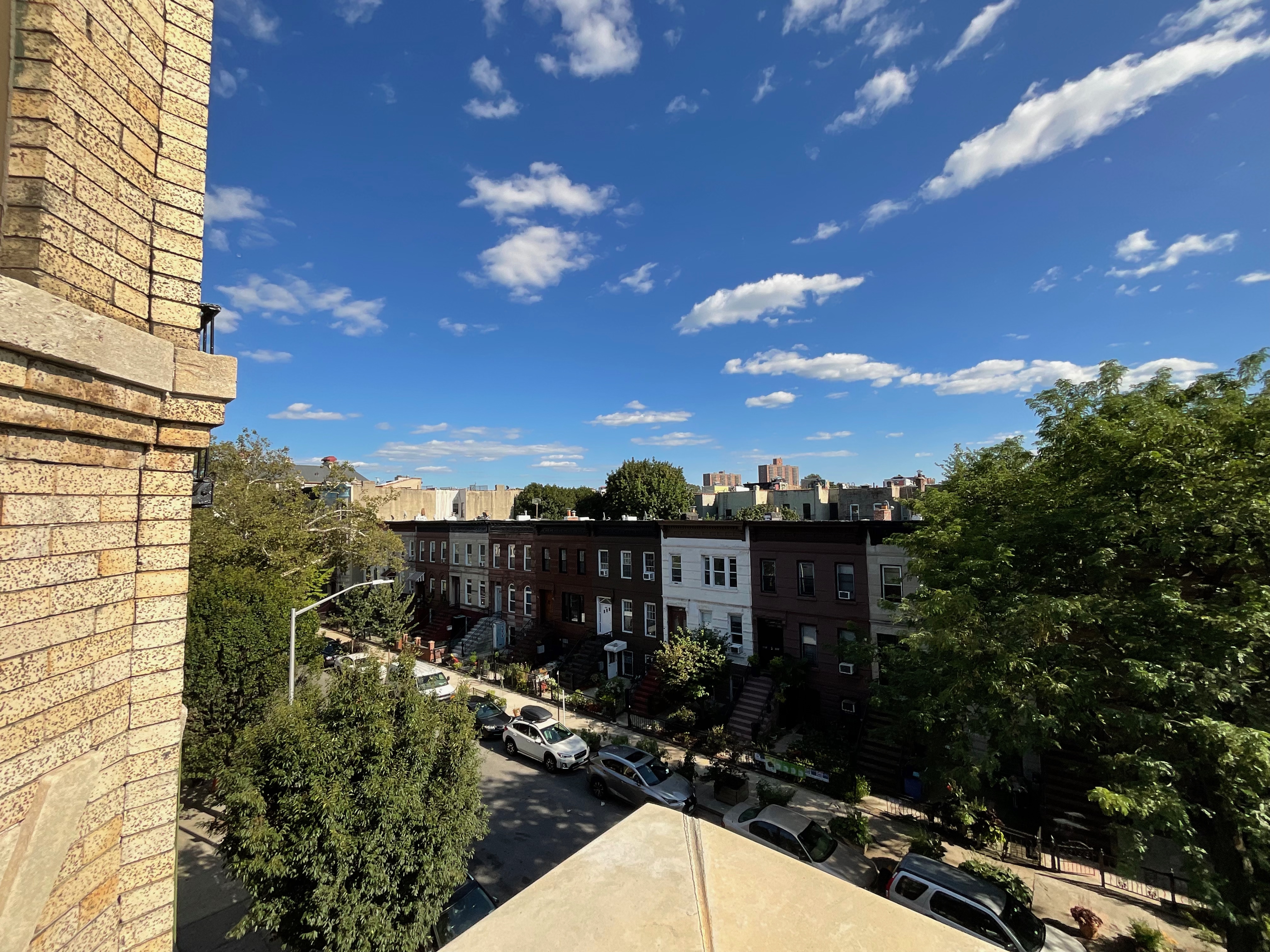 443 Bainbridge Street, Unit 3B Brooklyn, NY 11233 - Photo 19 of 22