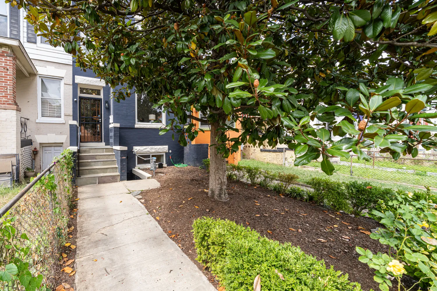 a view of a pathway with a tree