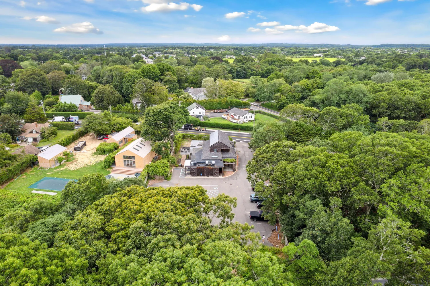 an aerial view of residential houses with outdoor space and trees