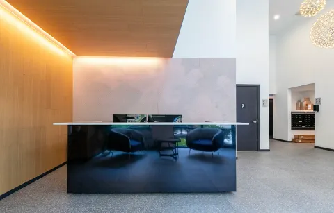 a living room with furniture and a couch