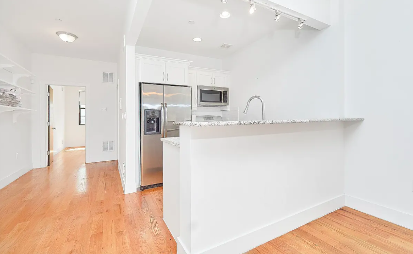 305 Albany Avenue, Unit 1 Brooklyn, NY 11213 - Photo 4 of 11