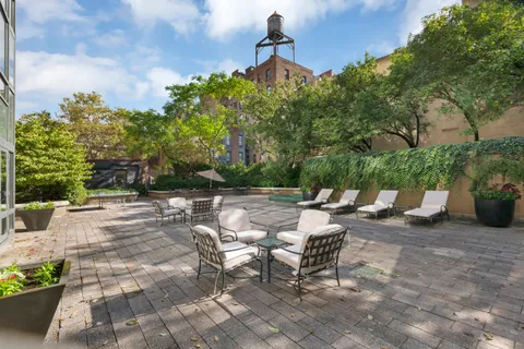 a view of backyard with furniture and plants