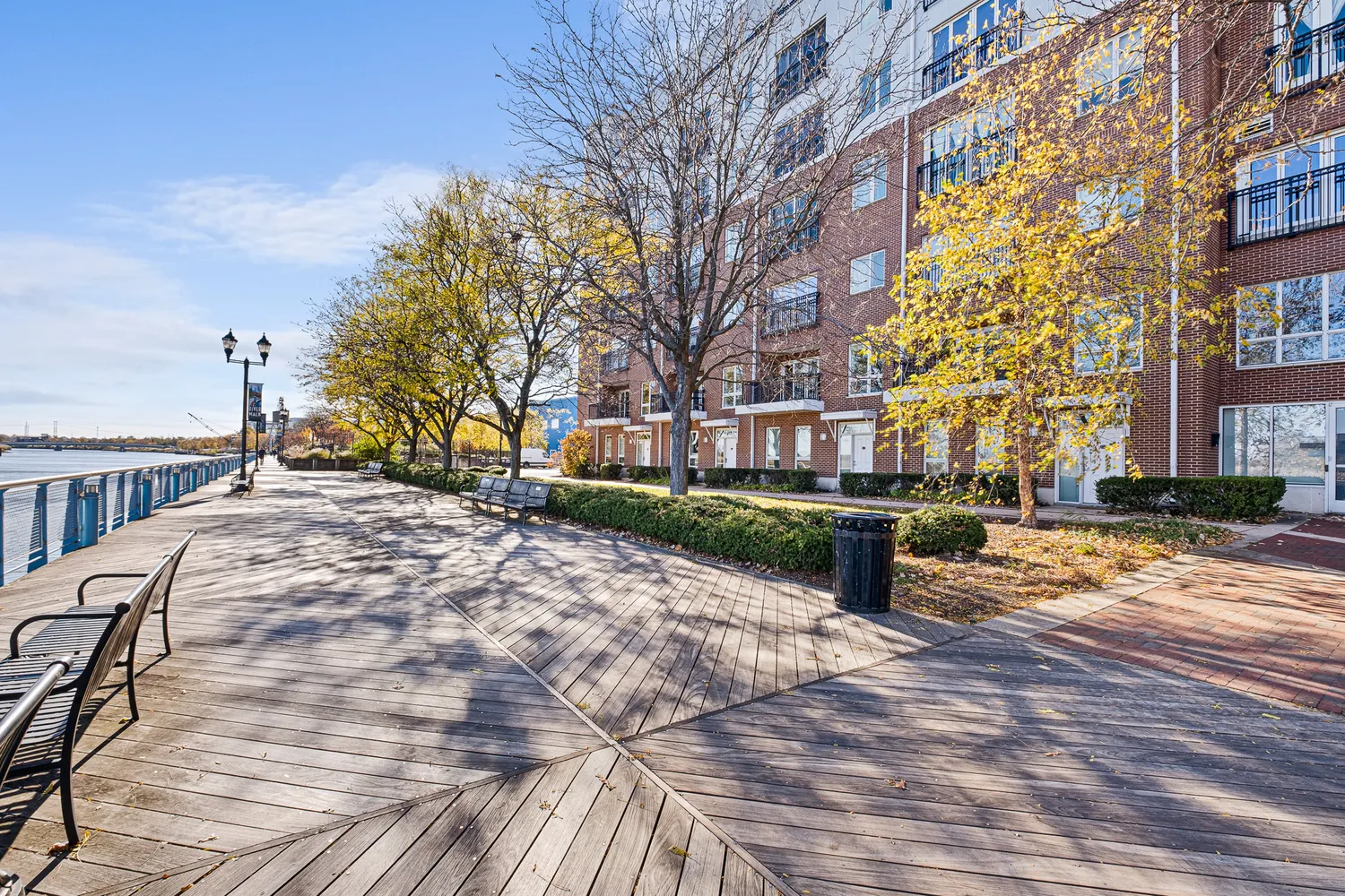 a street view with large trees