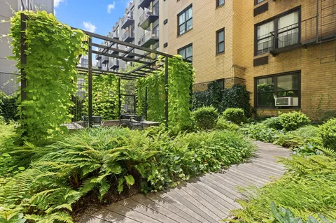a view of a garden with plants