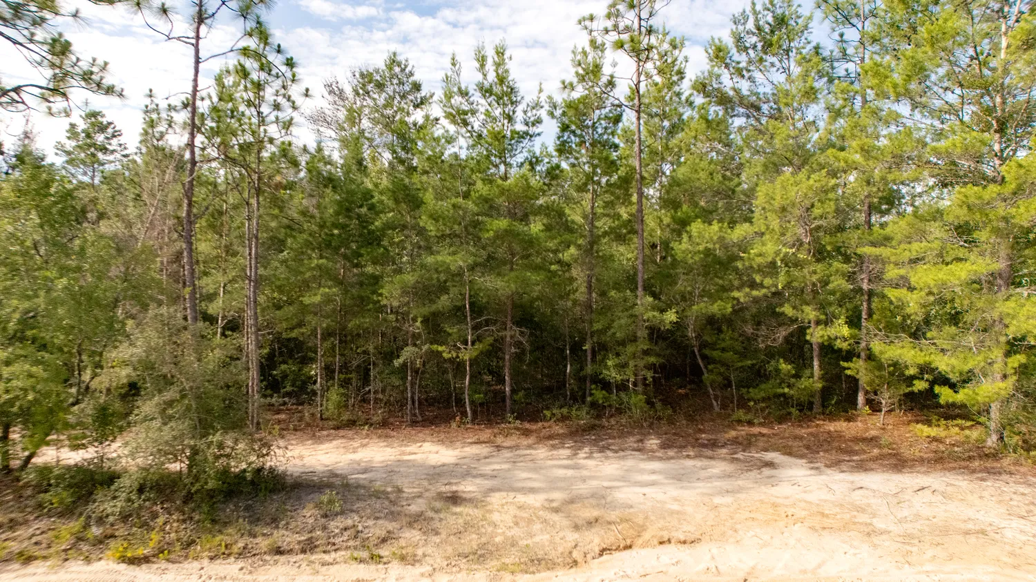 Contact Agent | Lots 7, 8, 9, 10 Tarpon Lane, DeFuniak Springs, FL 32433