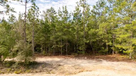 Contact Agent | Lots 7, 8, 9, 10 Tarpon Lane, DeFuniak Springs, FL 32433